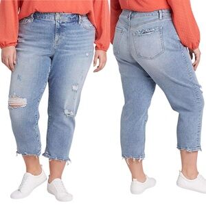 Lane Bryant Signature Fit Boyfriend Capri Jean Light Wash Distressed Size 22